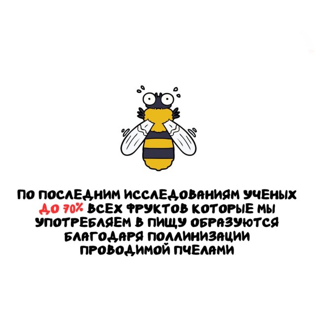 Интересные факты на все случаи жизни