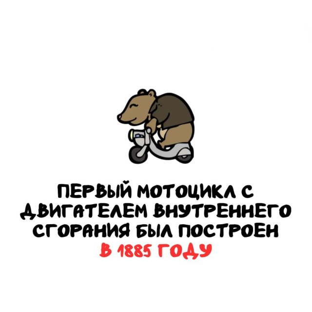 Интересные факты на все случаи жизни