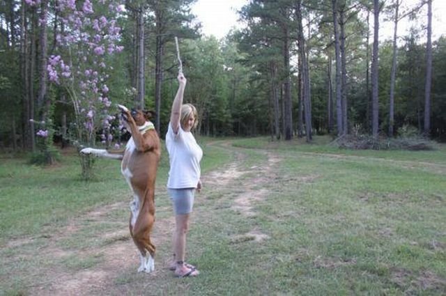 Подборка картинок. Вечерний выпуск - 13.02.2026