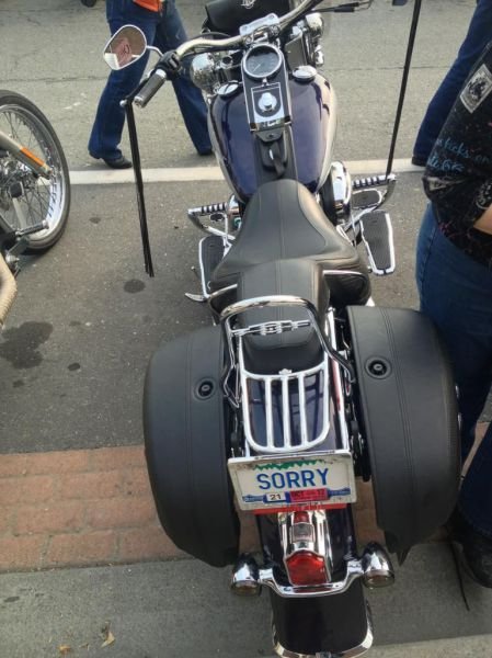 Подборка картинок. Вечерний выпуск - 13.02.2026