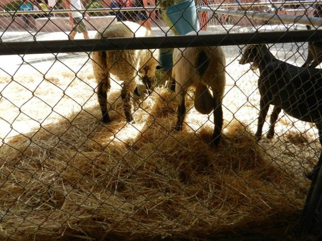 Подборка картинок. Вечерний выпуск - 13.02.2026