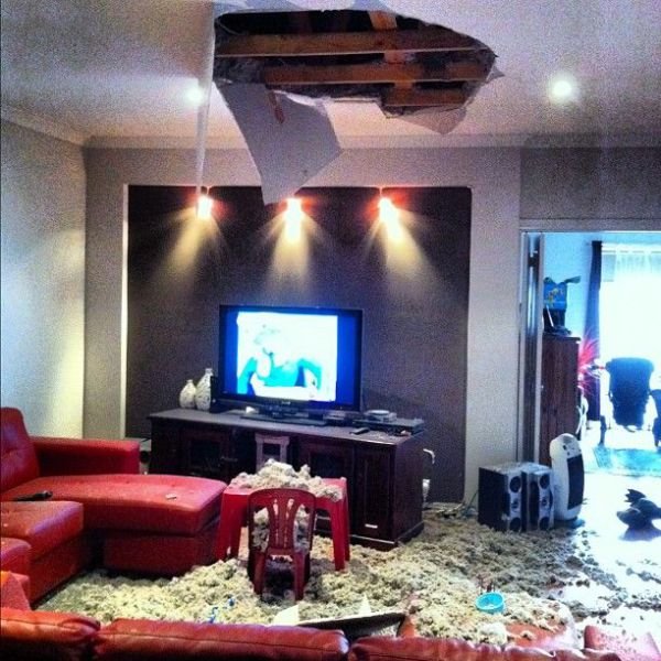 Подборка картинок. Вечерний выпуск - 13.02.2026