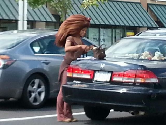 Подборка картинок. Вечерний выпуск - 13.02.2026