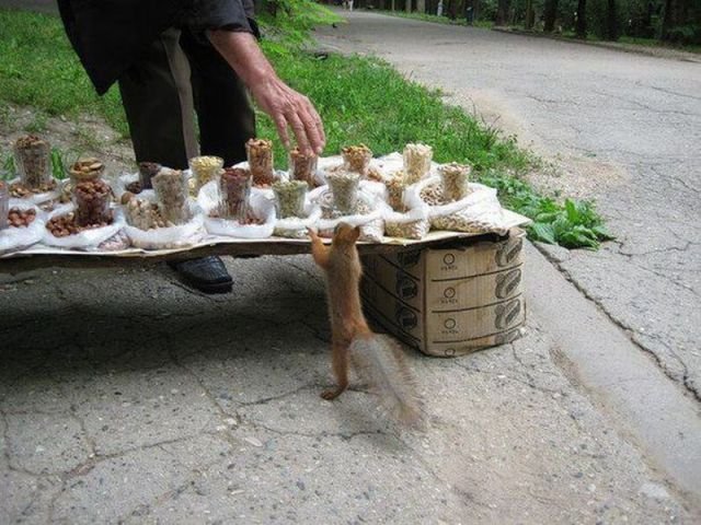 Подборка картинок. Вечерний выпуск - 13.02.2026