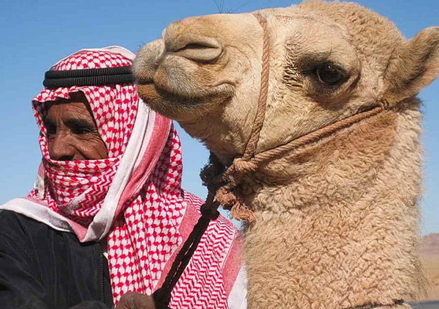 Самый обычный дед в Египте