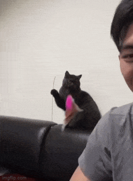 Подборка гифок для любого настроения