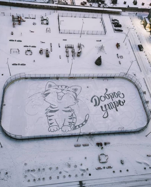 Картины снегом