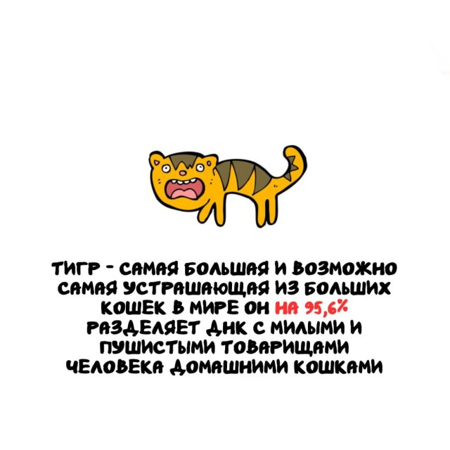 Интересные факты на все случаи жизни