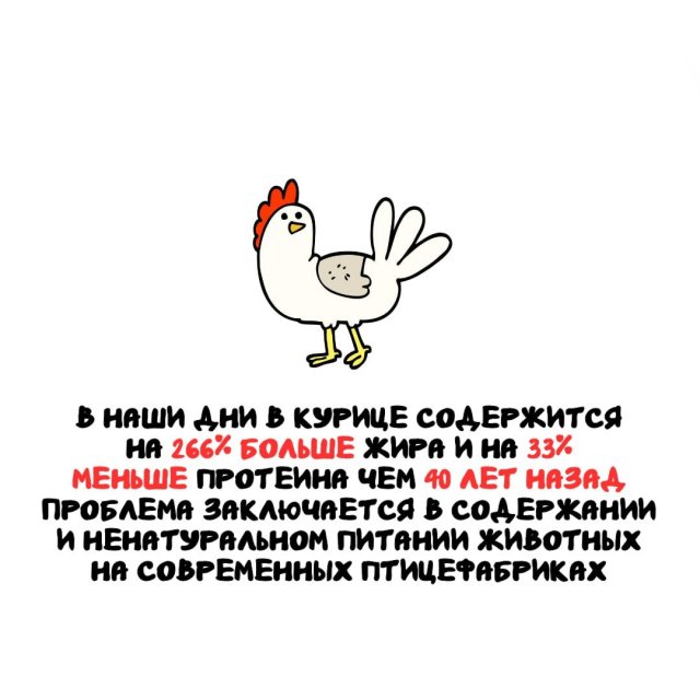 Интересные факты на все случаи жизни
