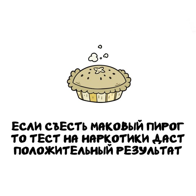 Интересные факты на все случаи жизни