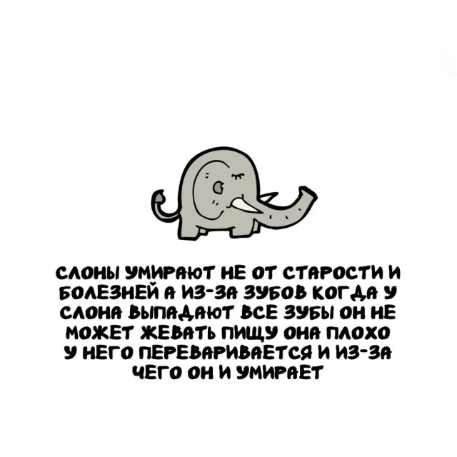 Интересные факты на все случаи жизни