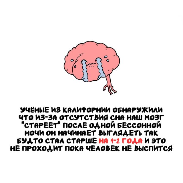 Интересные факты на все случаи жизни