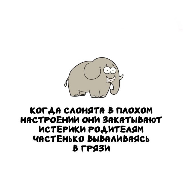 Интересные факты на все случаи жизни