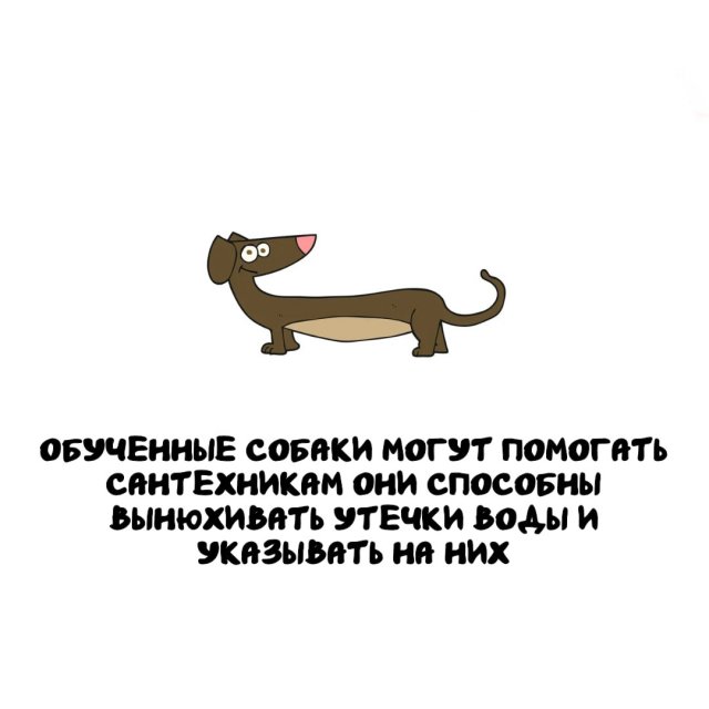 Интересные факты на все случаи жизни