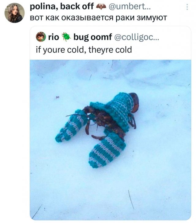 Подборка забавных твитов обо всем