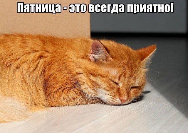 Трынделка - 19.02.2026