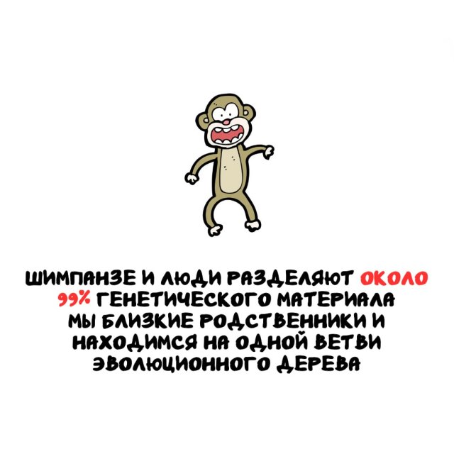 Занимательная энциклопедия: 15 фактов для ума и развлечения интересные факты, эрудиция, наука, природа, человек, рекорды, генетика, жемчуг, шимпанзе, лапша быстрого приготовления, сравнение, подборка, познавательно, окружающий мир, удивительное рядом
