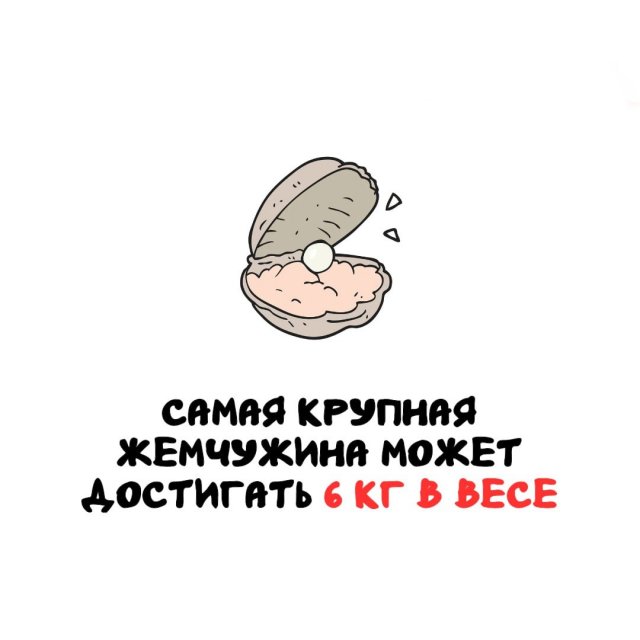 Занимательная энциклопедия: 15 фактов для ума и развлечения интересные факты, эрудиция, наука, природа, человек, рекорды, генетика, жемчуг, шимпанзе, лапша быстрого приготовления, сравнение, подборка, познавательно, окружающий мир, удивительное рядом