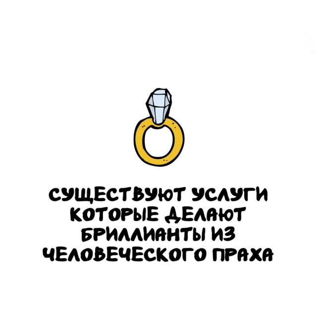 Занимательная энциклопедия: 15 фактов для ума и развлечения интересные факты, эрудиция, наука, природа, человек, рекорды, генетика, жемчуг, шимпанзе, лапша быстрого приготовления, сравнение, подборка, познавательно, окружающий мир, удивительное рядом