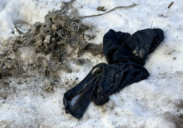 Что произойдет если смыть джинсы в унитаз?