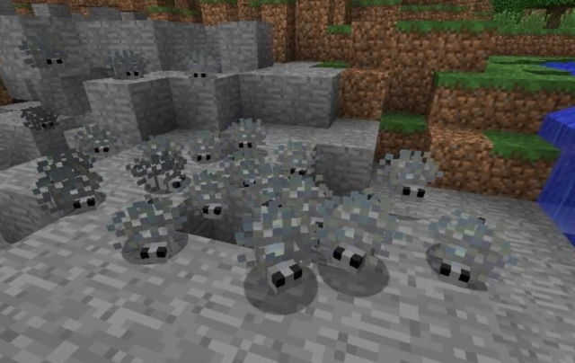 Мокрицы в квартирах — нашествие на российские ванные и кухни