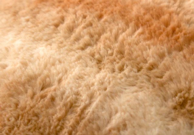 Котик всегда с тобой: как постельное бельё в форме котов решает проблему аллергии и одиночества постельное белье кот, подушка кот, одеяло в виде кота, для аллергиков, котики, мягкая игрушка, подарок кошатнику, гипоаллергенно, уютный дом, текстиль с котами