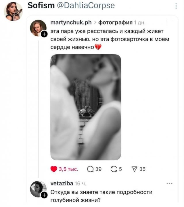 Подборка забавных твитов обо всем