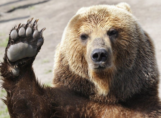 Телефон спас жизнь