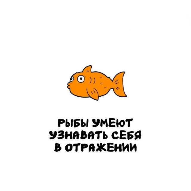 Интересные факты на все случаи жизни