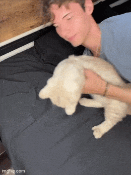 Подборка гифок — для настроения