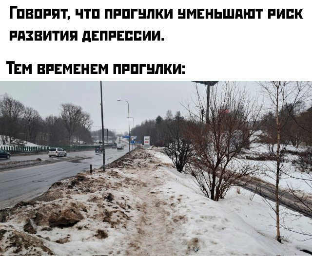 Подборка картинок. Вечерний выпуск - 25.02.2026