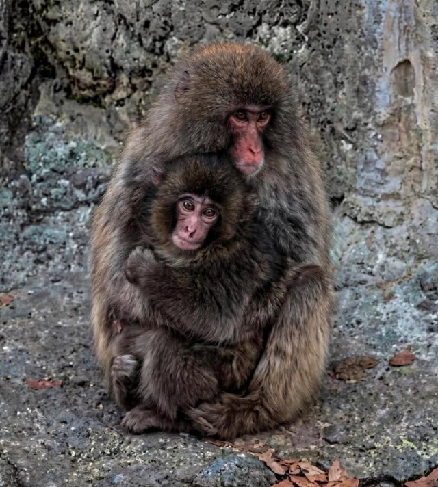 Самый милый пост за сегодня