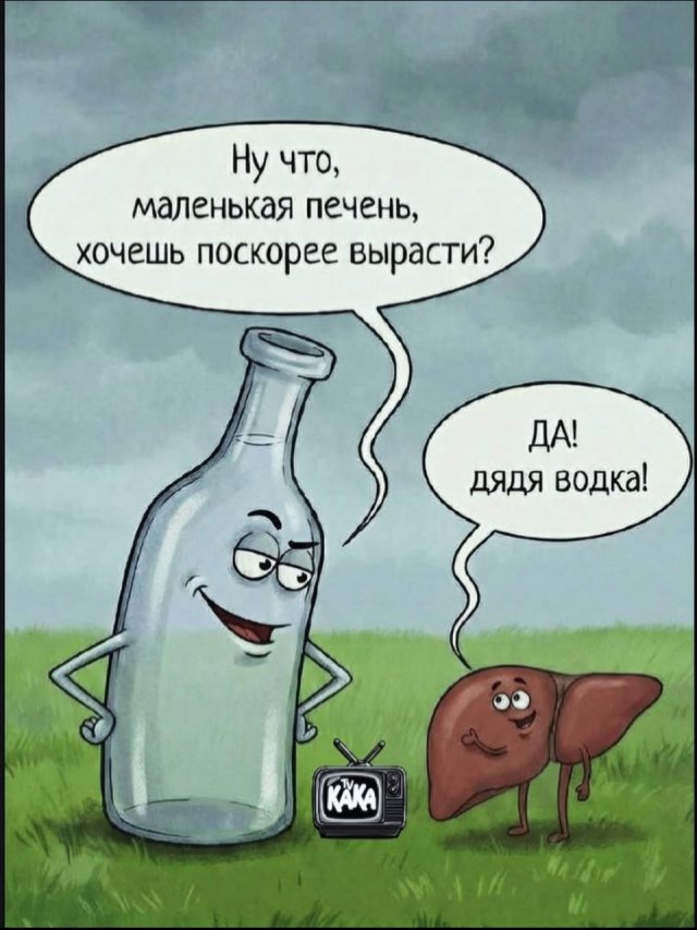 Лучшие шутки и мемы из Сети - 26.02.2026