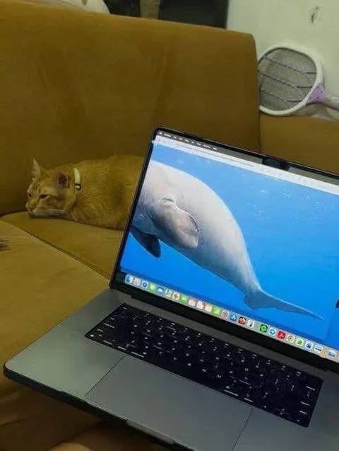 Лучшие шутки и мемы из Сети - 26.02.2026