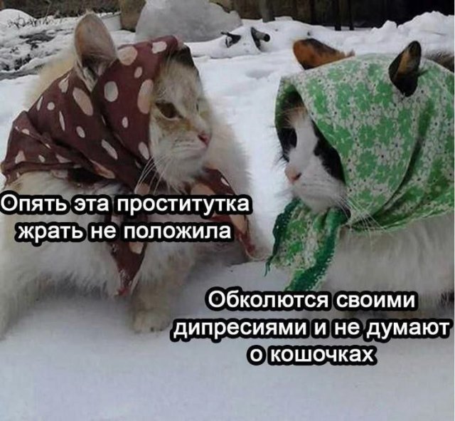 Лучшие шутки и мемы из Сети - 26.02.2026