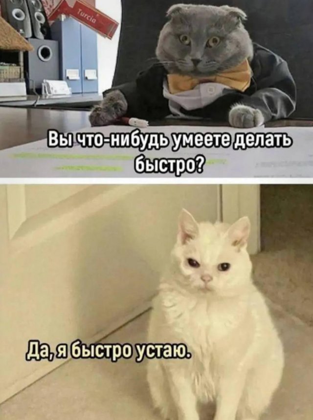 Лучшие шутки и мемы из Сети - 26.02.2026