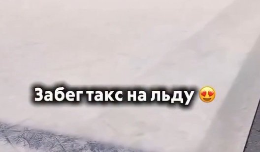 Как таксы бегают по льду