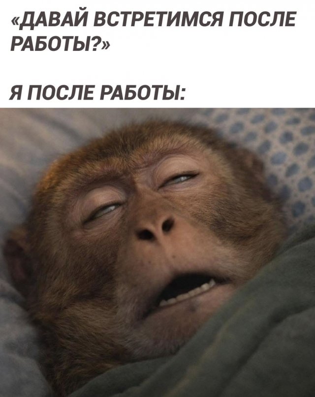 Смешные картинки - 02.03.2026 Смешные картинки - 02.03.2026