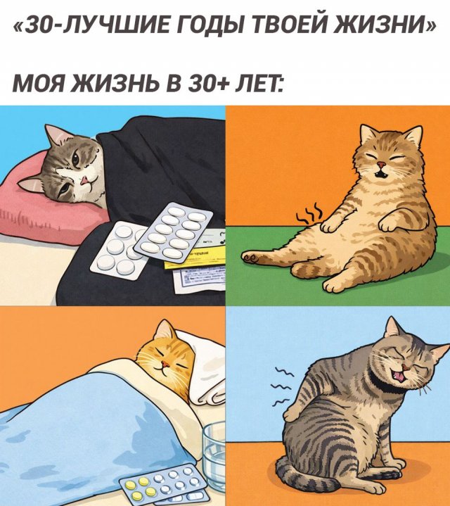 Смешные картинки - 02.03.2026 Смешные картинки - 02.03.2026