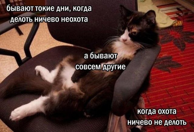 Смешные картинки - 02.03.2026 Смешные картинки - 02.03.2026