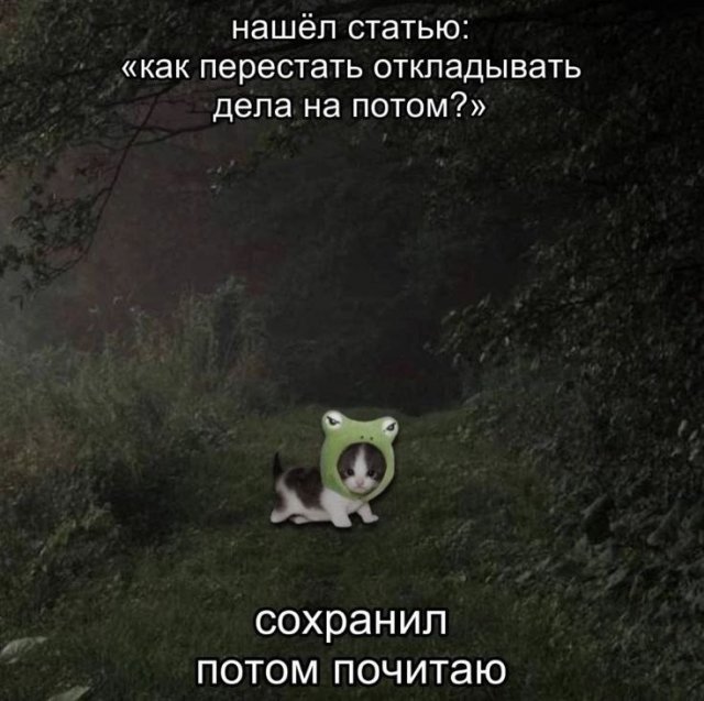 Смешные картинки - 02.03.2026 Смешные картинки - 02.03.2026