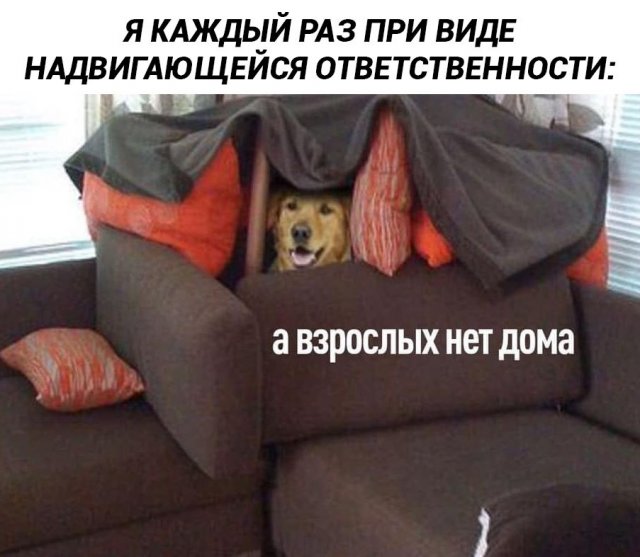 Лучшие шутки и мемы из Сети - 02.03.2026