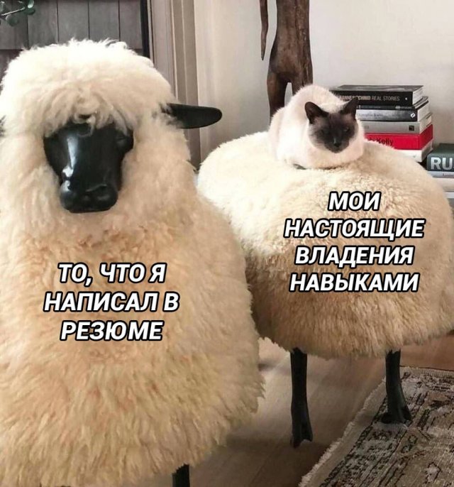 Лучшие шутки и мемы из Сети - 02.03.2026