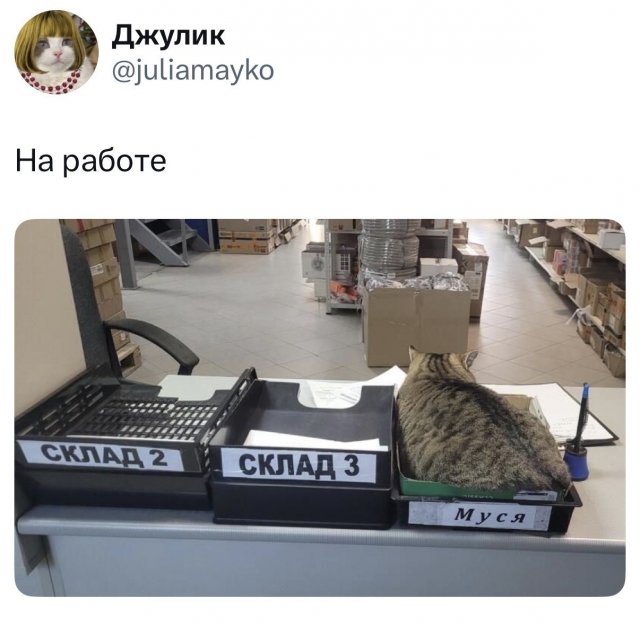 Лучшие шутки и мемы из Сети - 02.03.2026