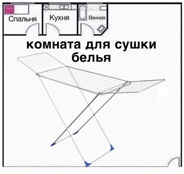 Лучшие шутки и мемы из Сети - 02.03.2026