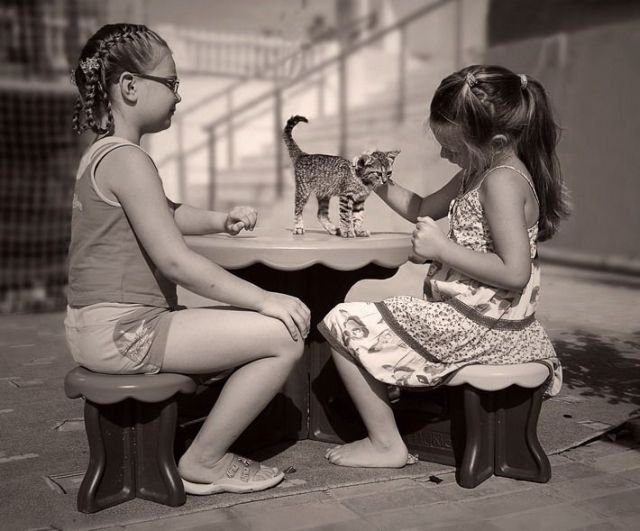 Подборка картинок. Вечерний выпуск - 02.03.2026