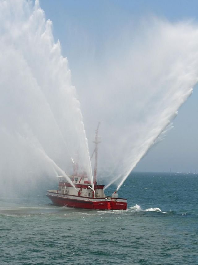 Подборка картинок. Вечерний выпуск - 02.03.2026