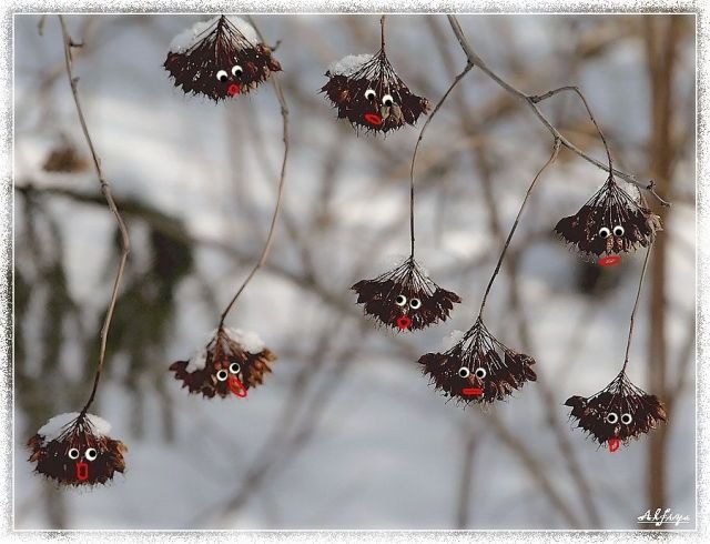Подборка картинок. Вечерний выпуск - 02.03.2026