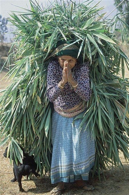 Подборка картинок. Вечерний выпуск - 02.03.2026