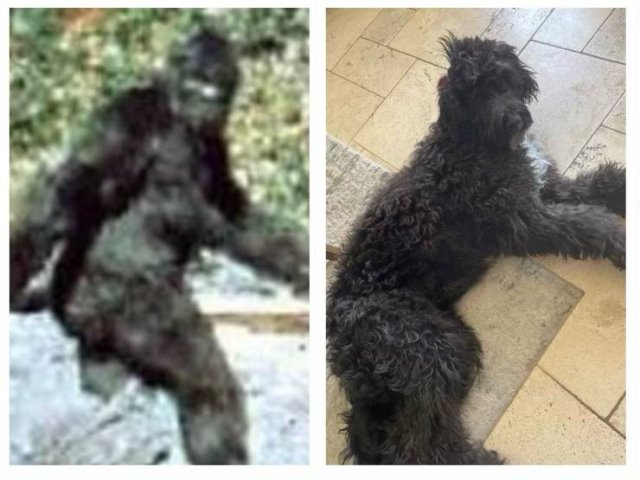 Подборка картинок. Вечерний выпуск - 03.03.2026